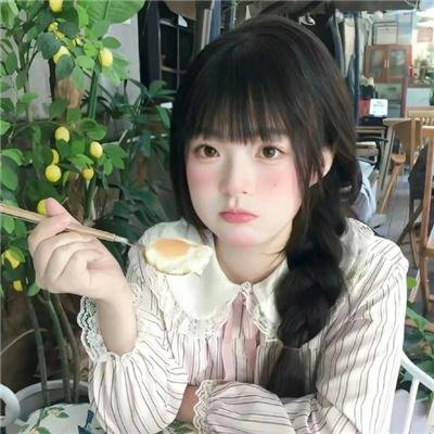 狐狸捕手